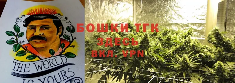 Конопля Ganja  продажа наркотиков  Ленск 